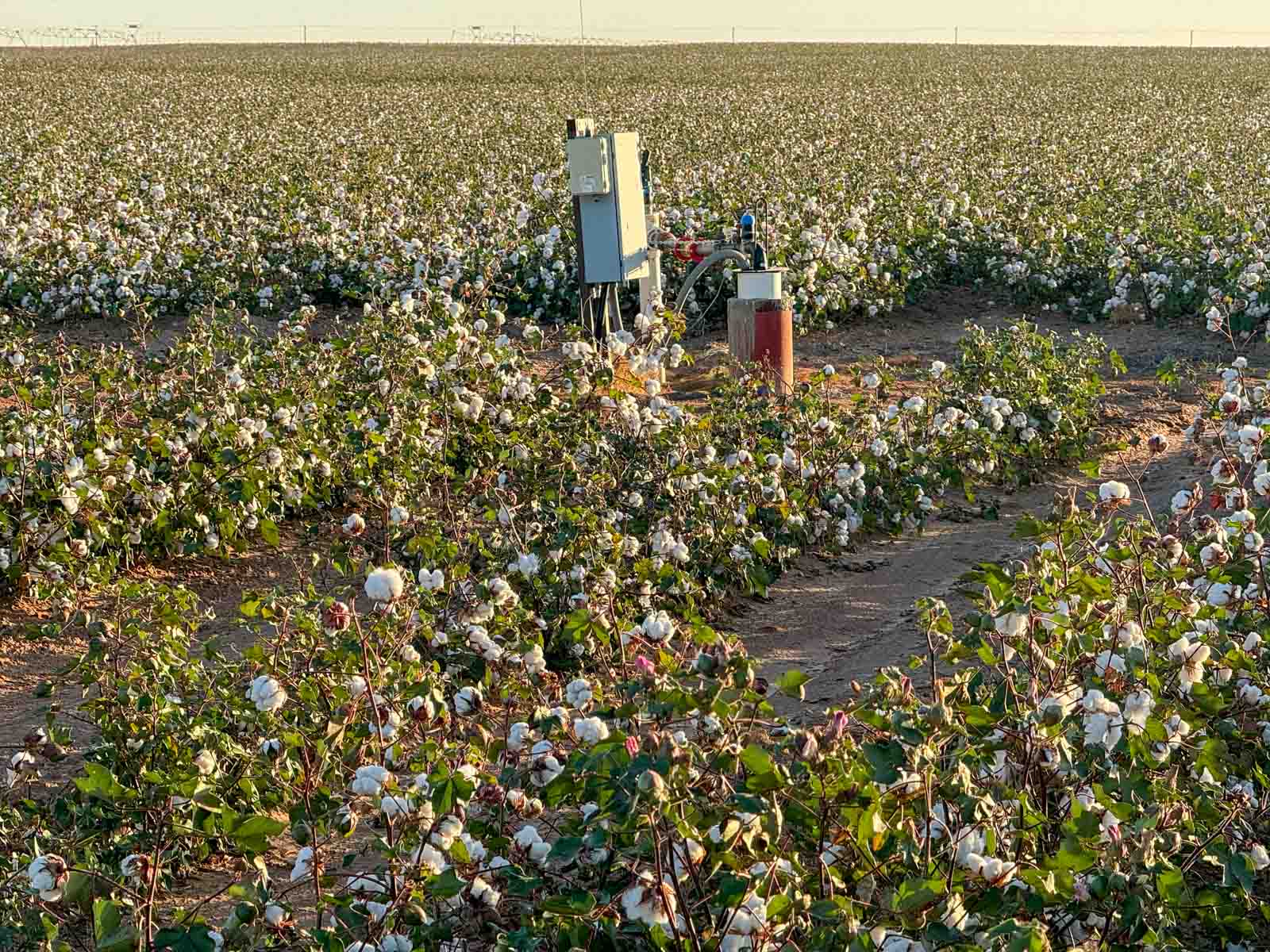 Warren Farms property picture 80 of 83