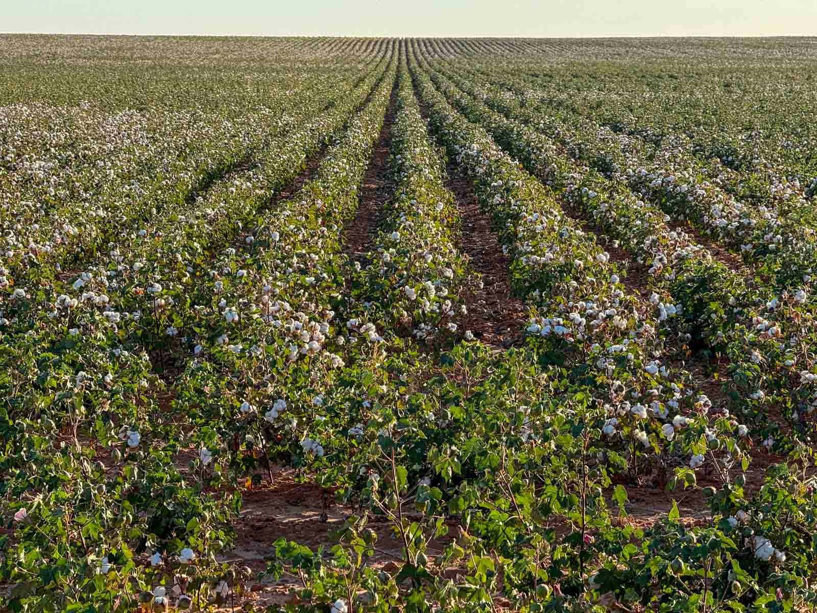 Warren Farms property picture 82 of 83