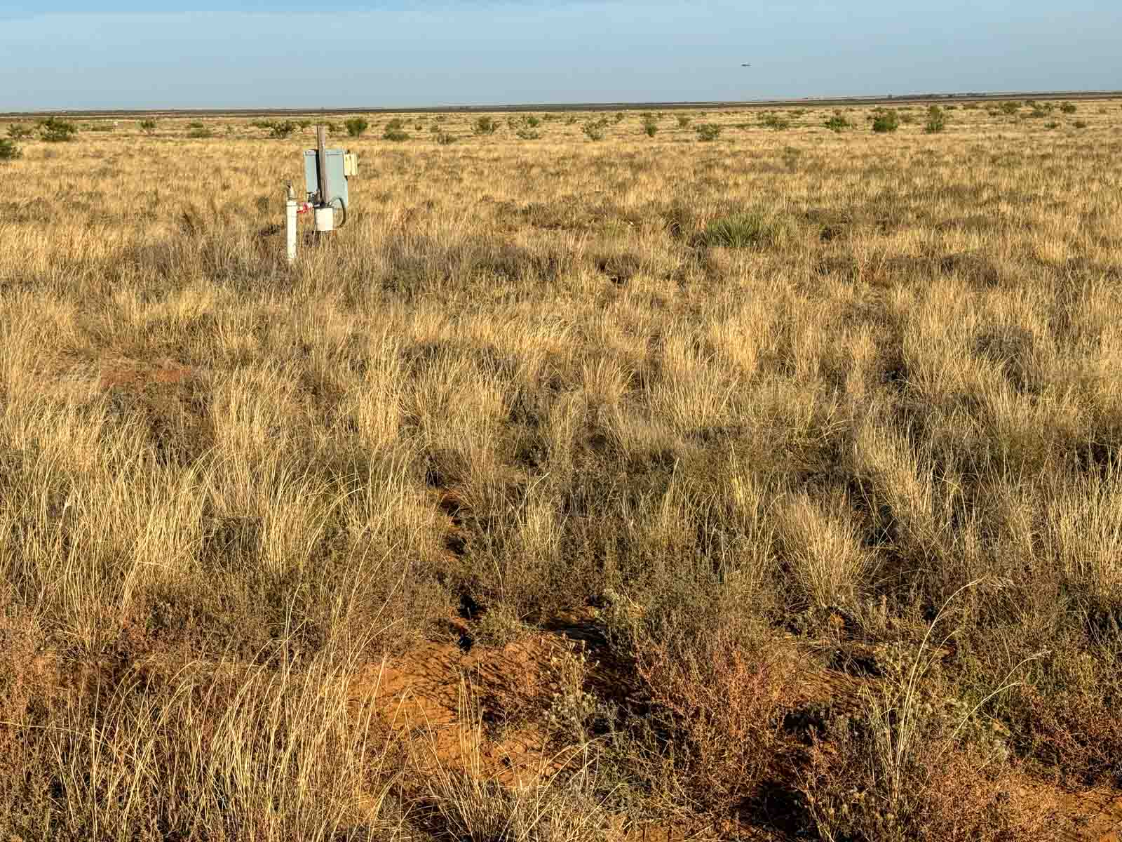 Warren Farms property picture 69 of 83