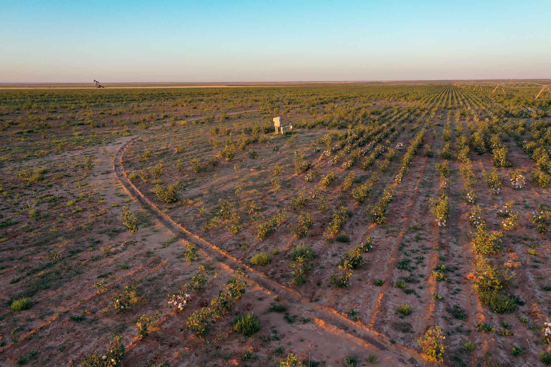 Warren Farms property picture 62 of 83