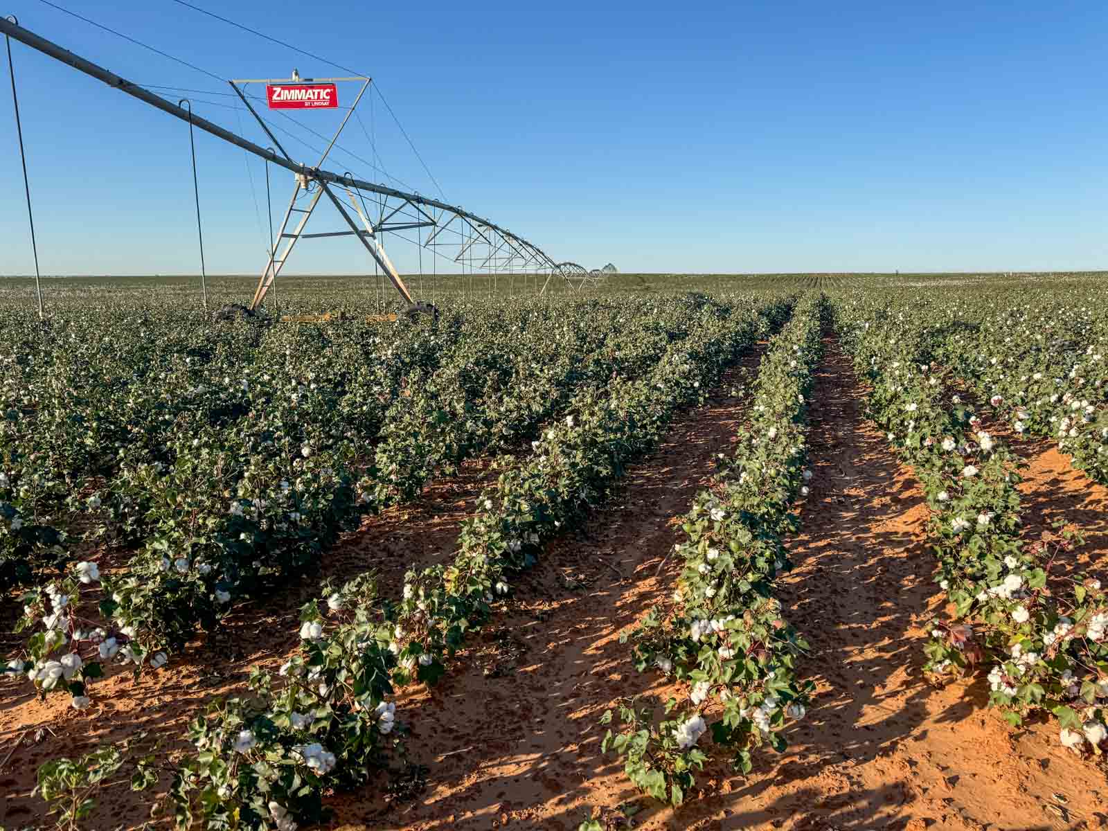 Warren Farms property picture 26 of 83