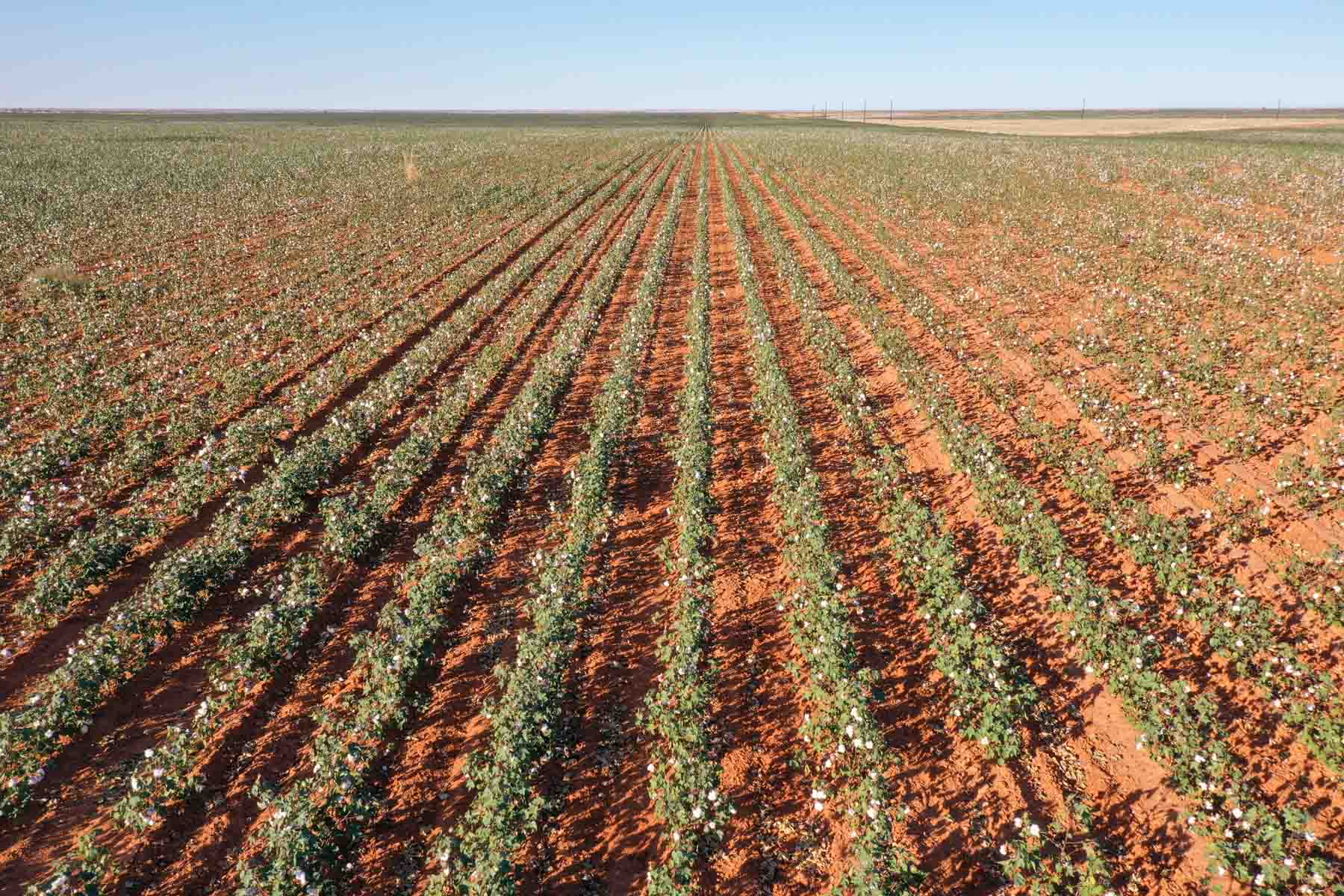 Warren Farms property picture 24 of 83