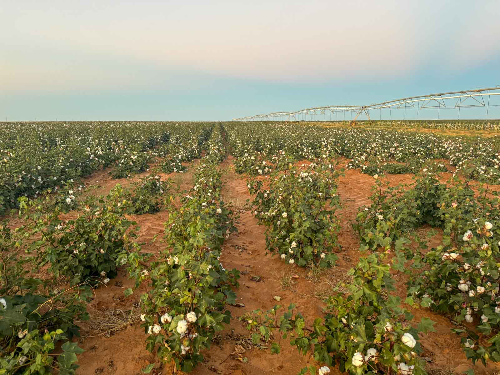 Warren Farms property picture 61 of 83