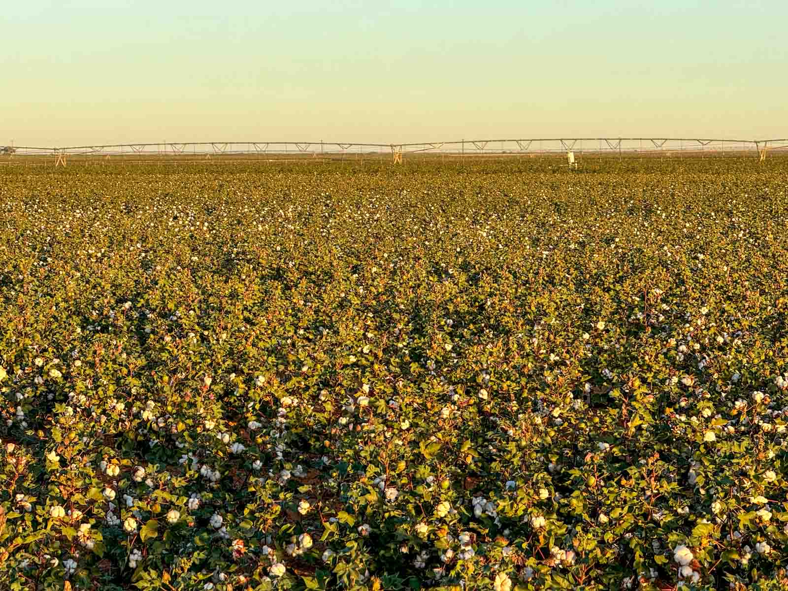 Warren Farms property picture 75 of 83