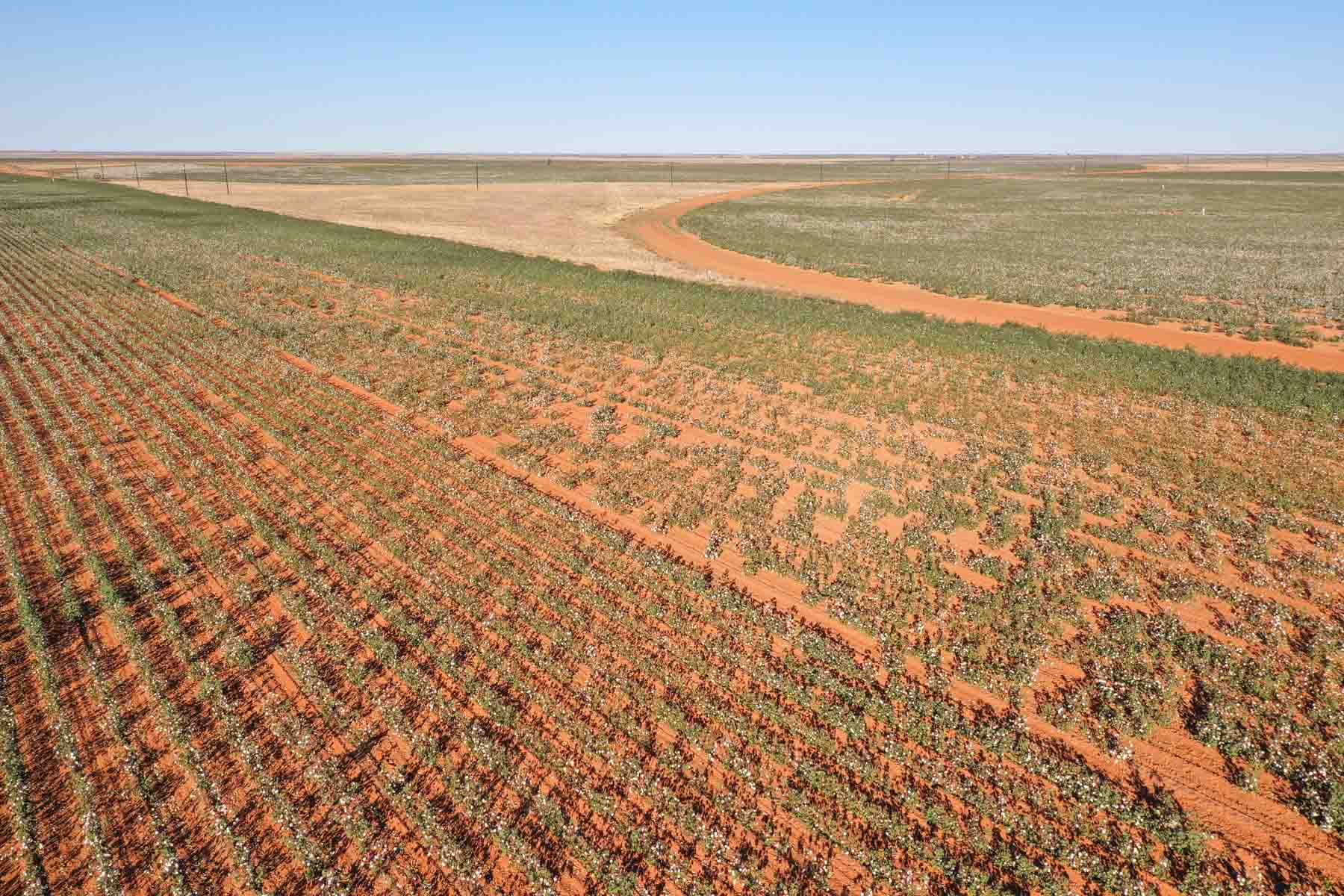 Warren Farms property picture 25 of 83