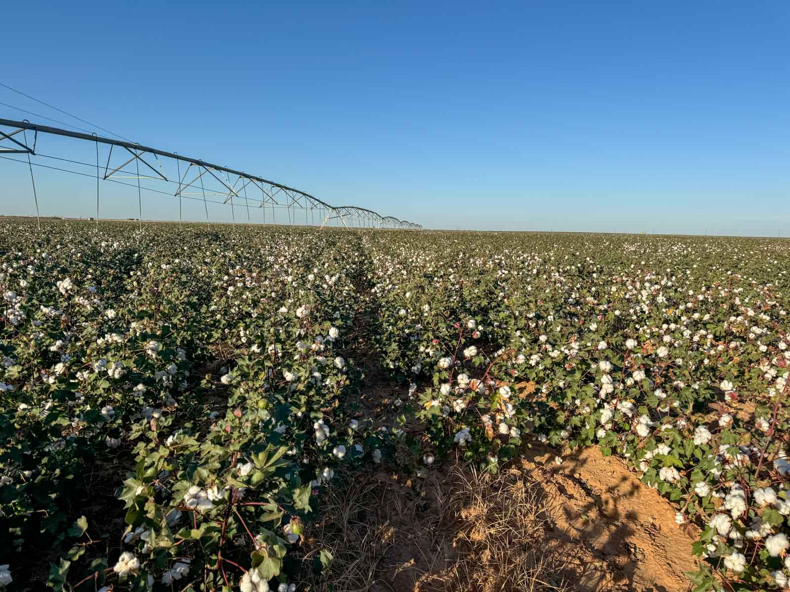 Warren Farms property picture 7 of 83