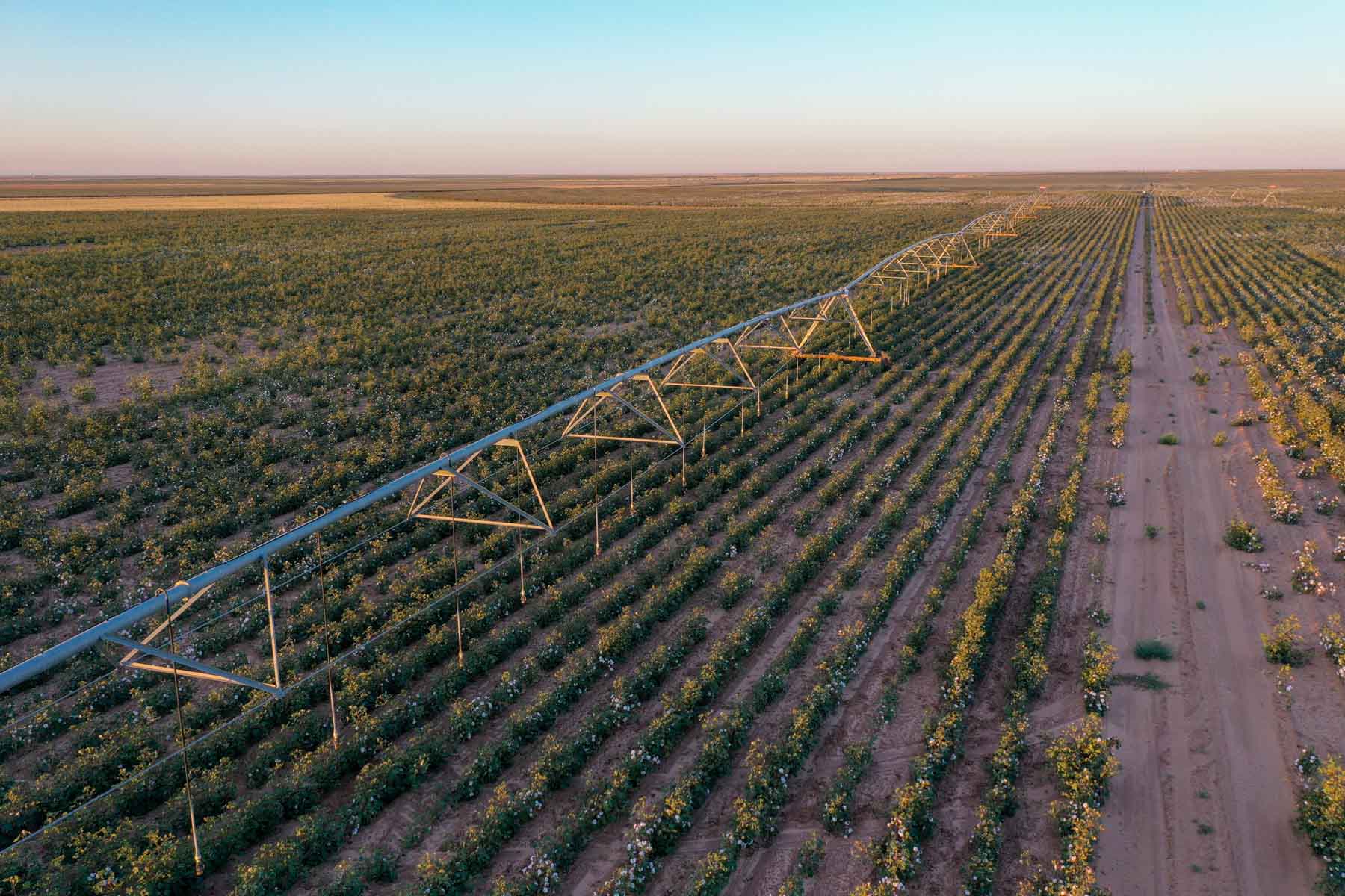 Warren Farms property picture 57 of 83