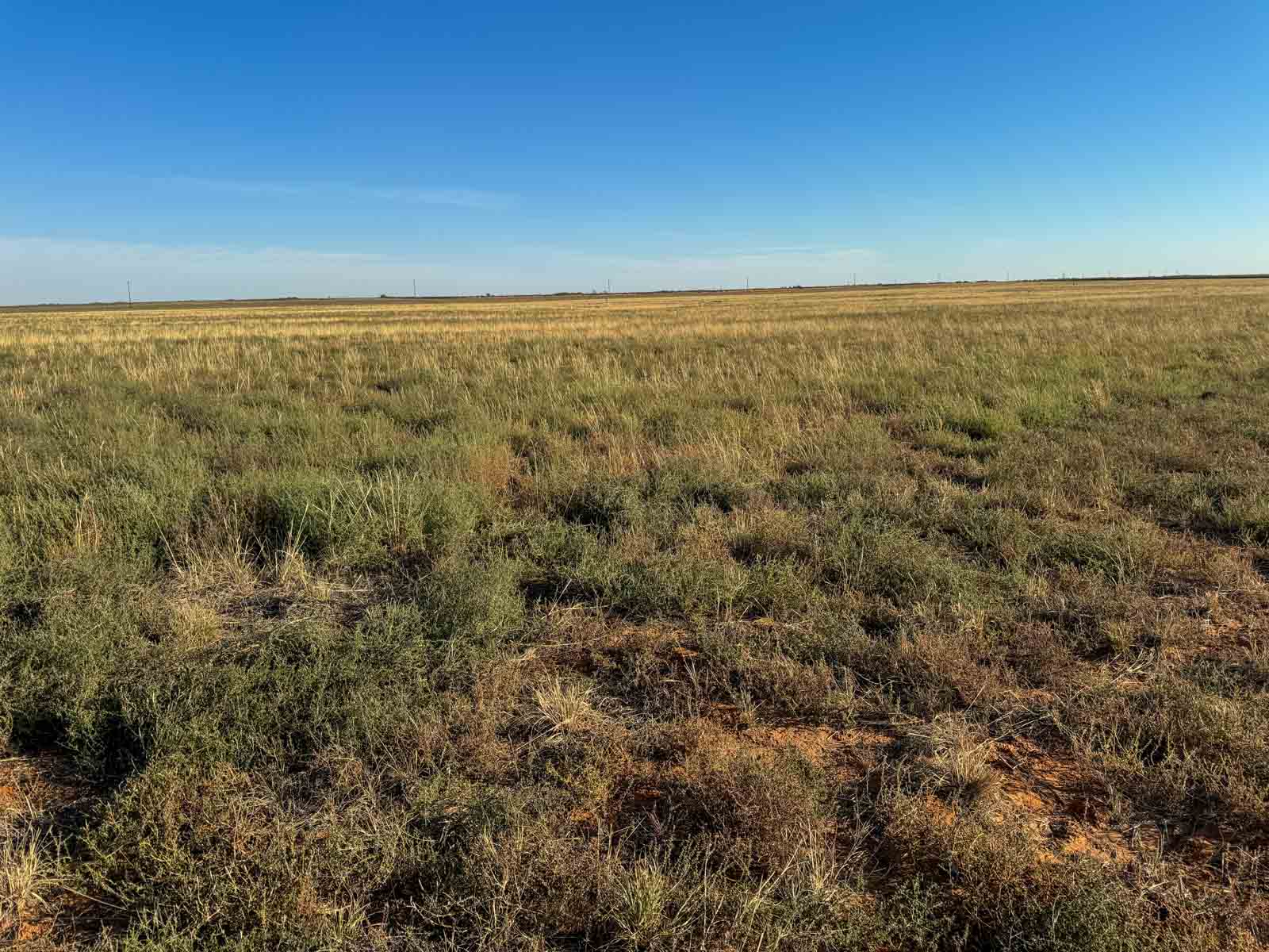 Warren Farms property picture 12 of 83