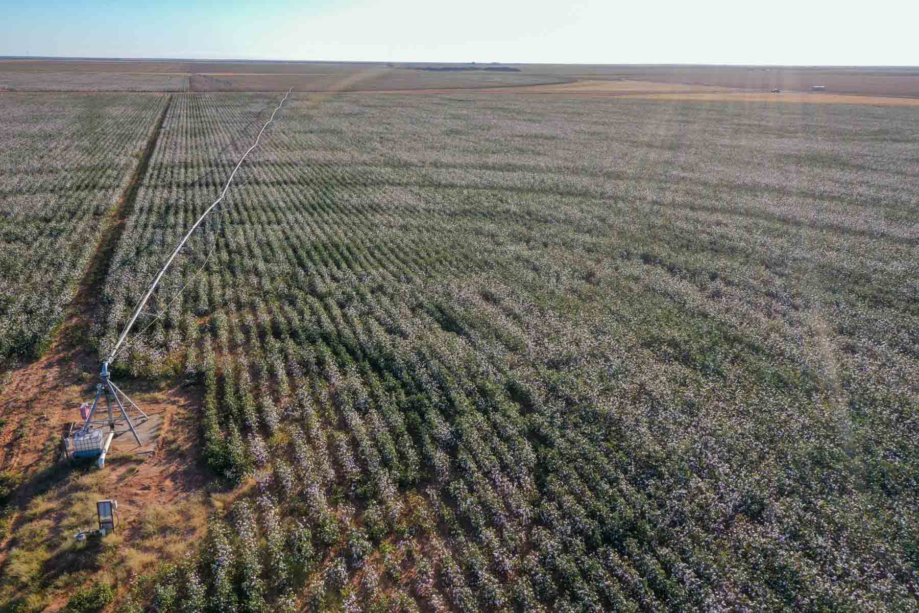 Warren Farms property picture 5 of 83