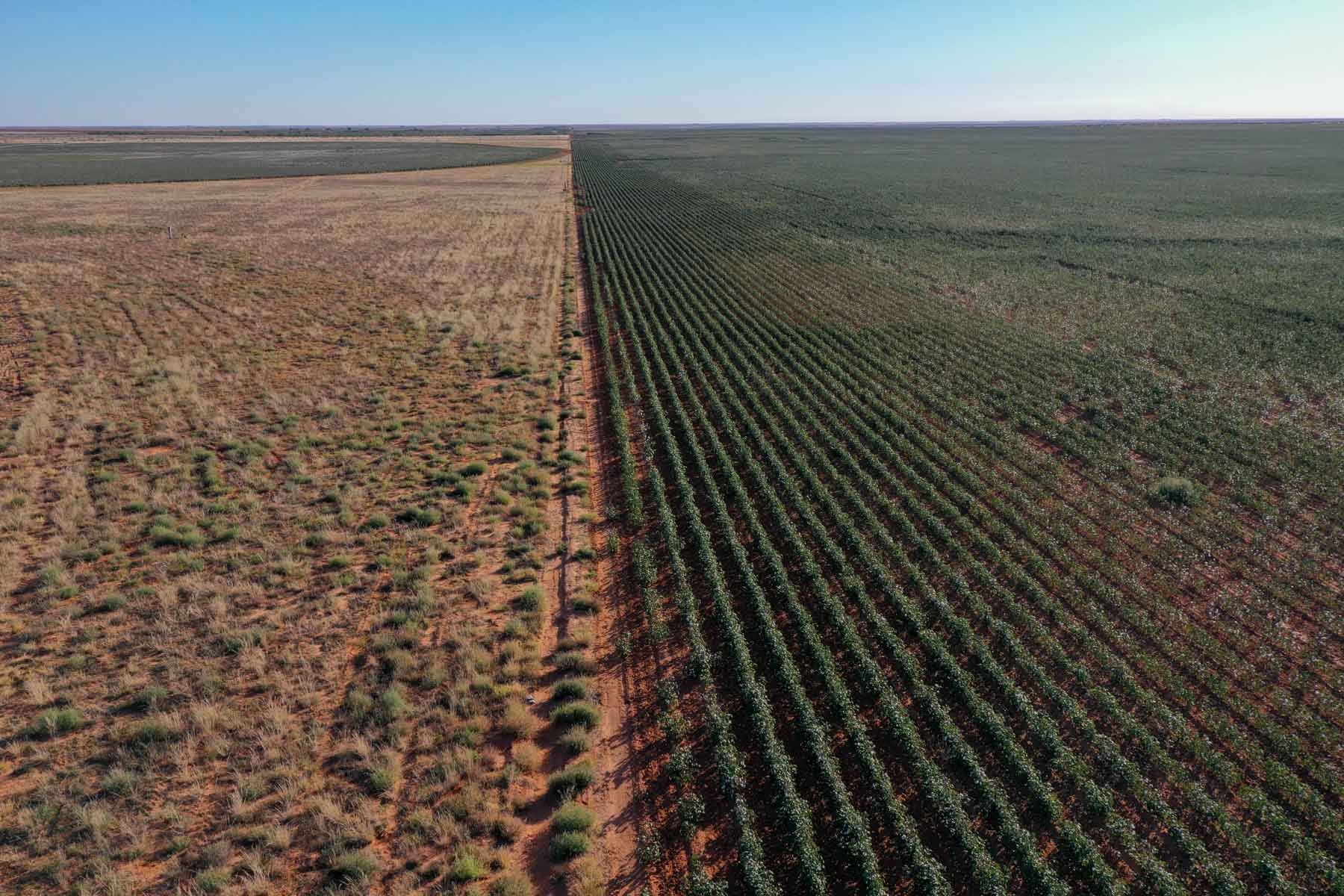 Warren Farms property picture 27 of 83