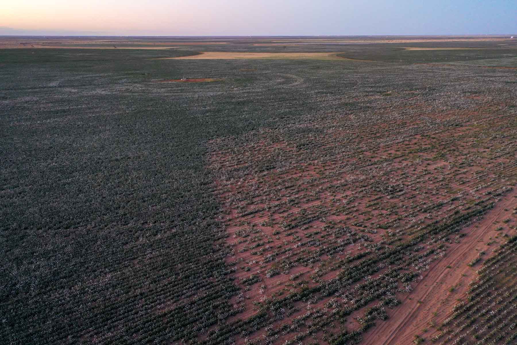 Warren Farms property picture 48 of 83