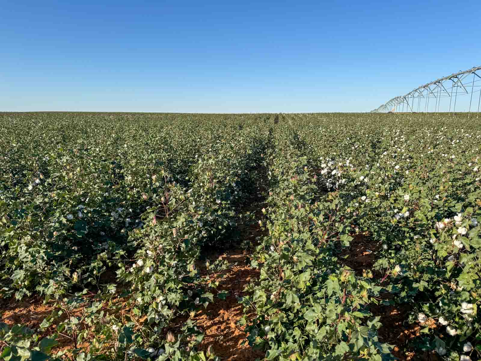 Warren Farms property picture 36 of 83