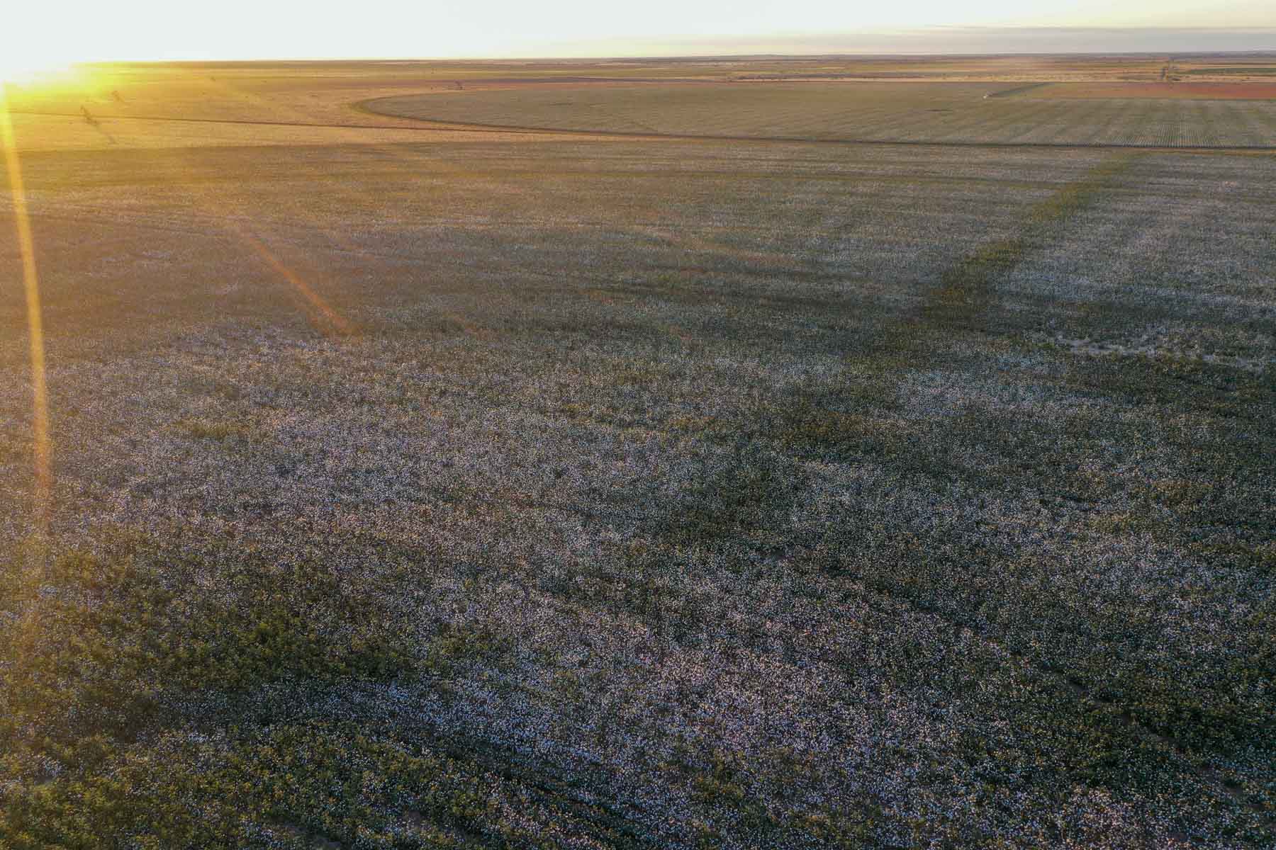 Warren Farms property picture 72 of 83