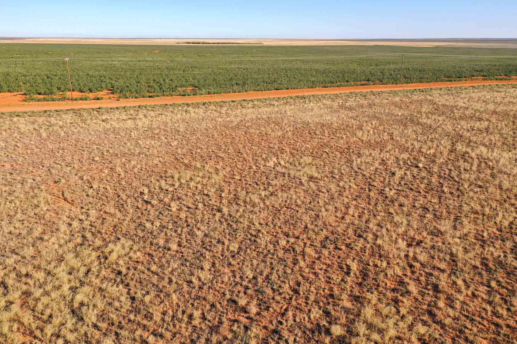 Warren Farms property picture 22 of 83