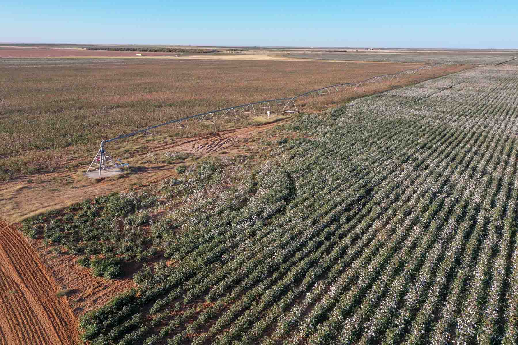 Warren Farms property picture 2 of 83