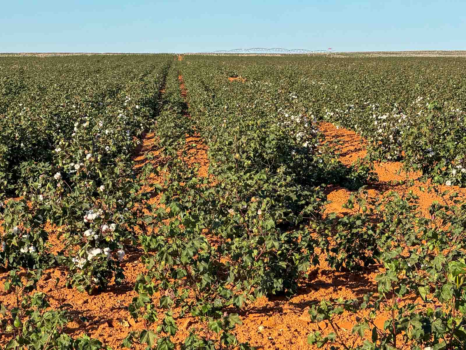 Warren Farms property picture 14 of 83