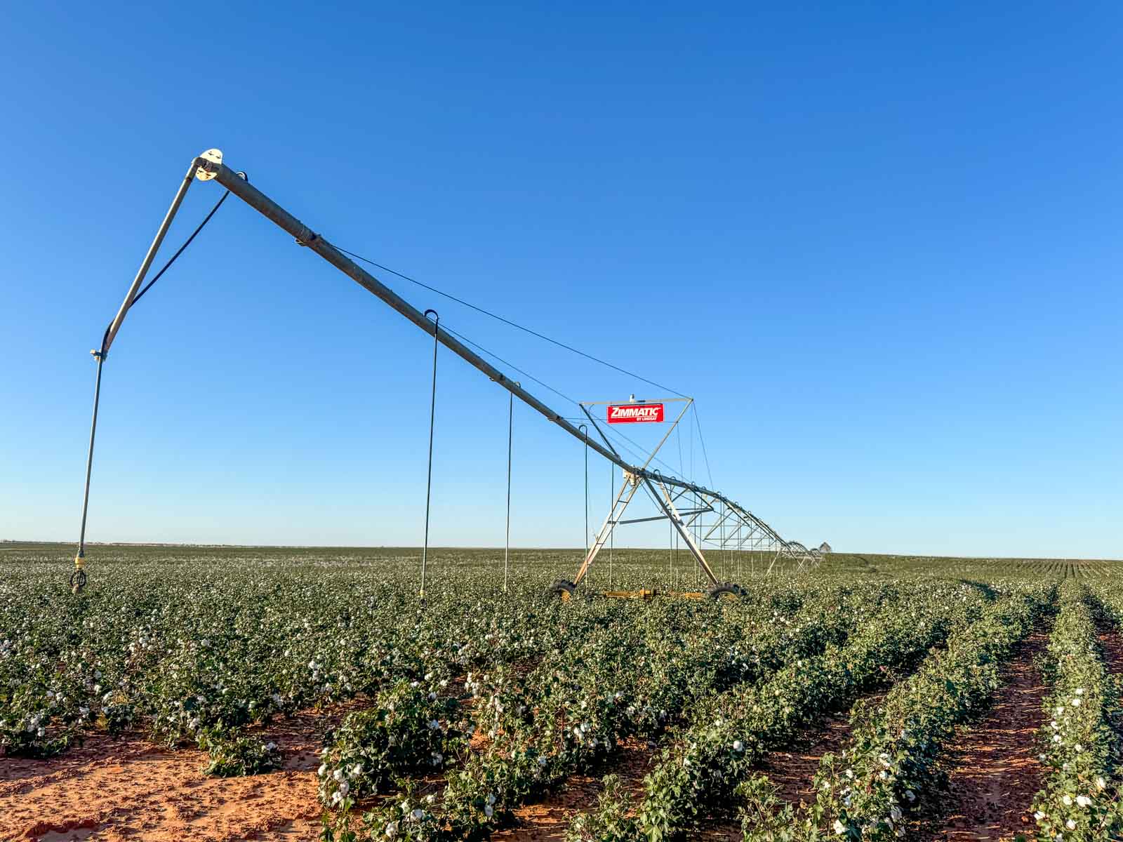 Warren Farms property picture 13 of 83