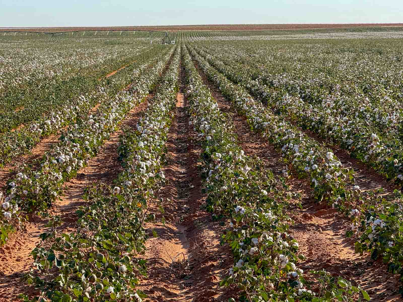 Warren Farms property picture 32 of 83