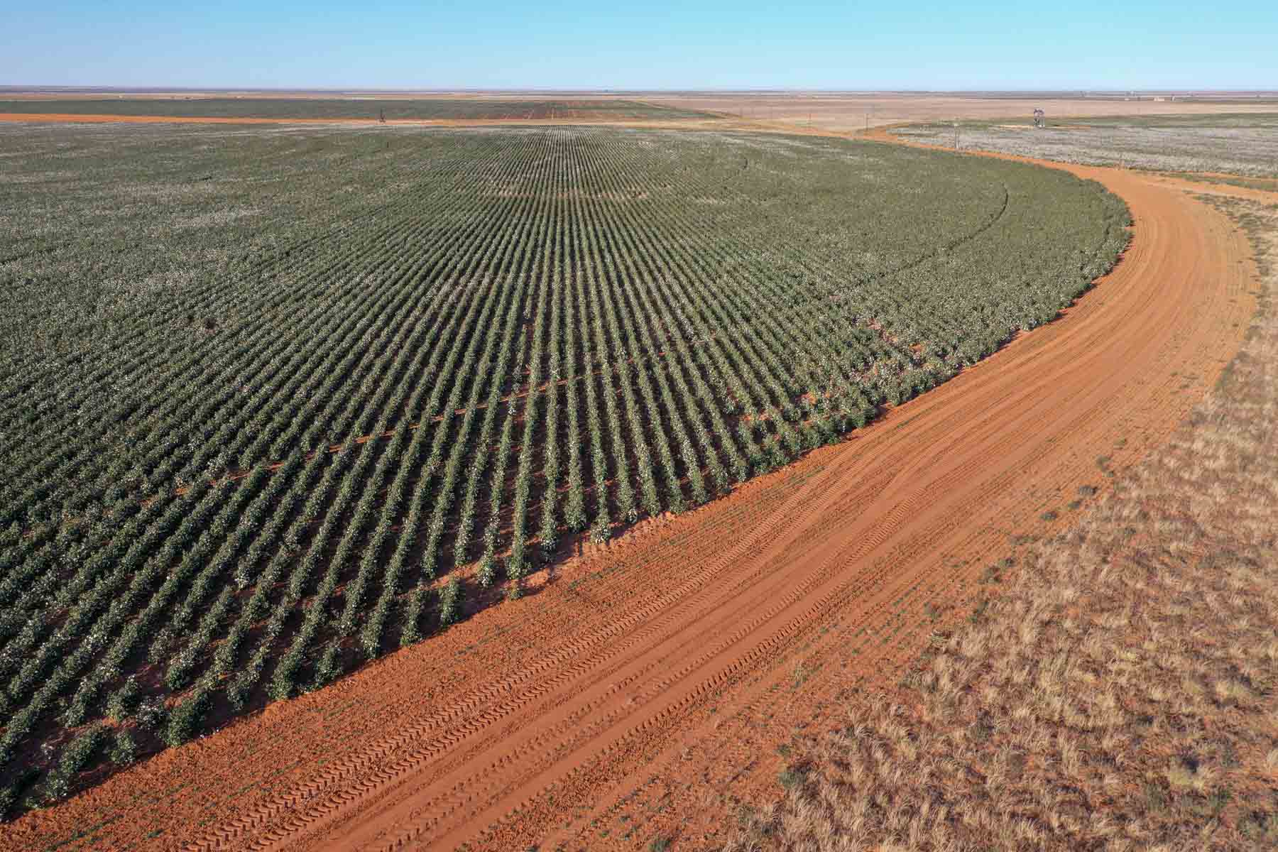 Warren Farms property picture 16 of 83