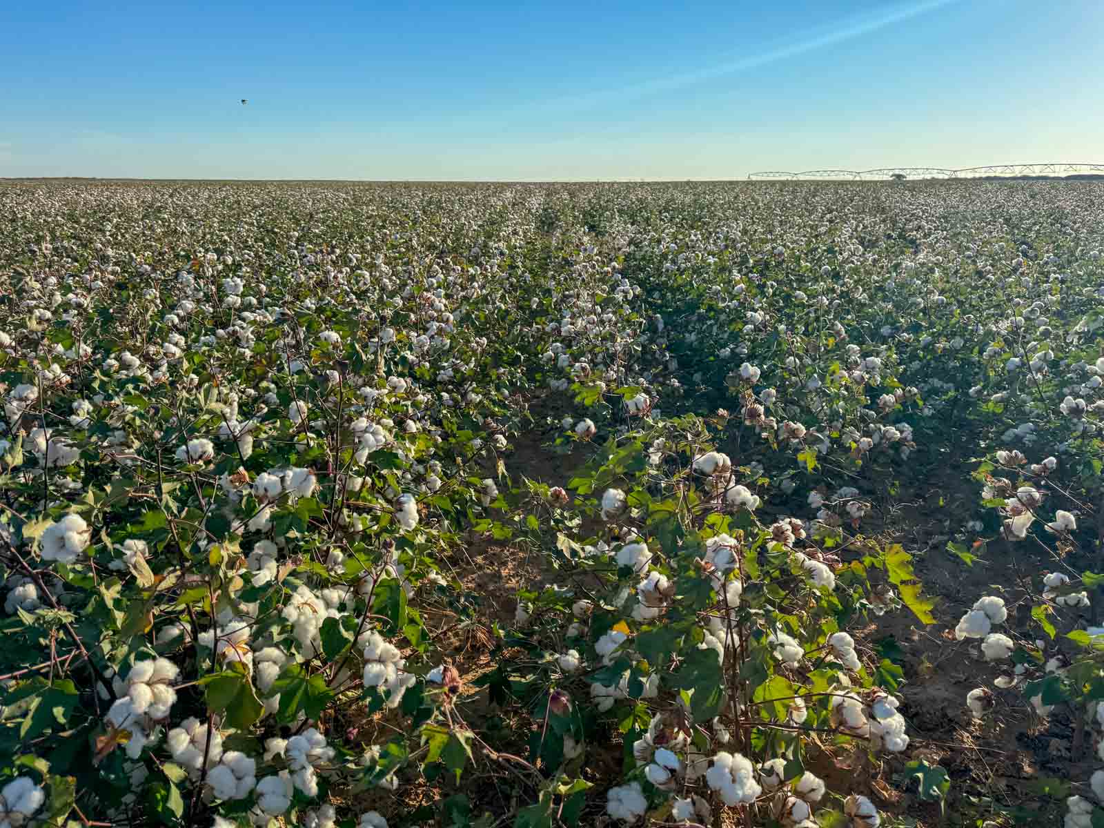 Warren Farms property picture 11 of 83