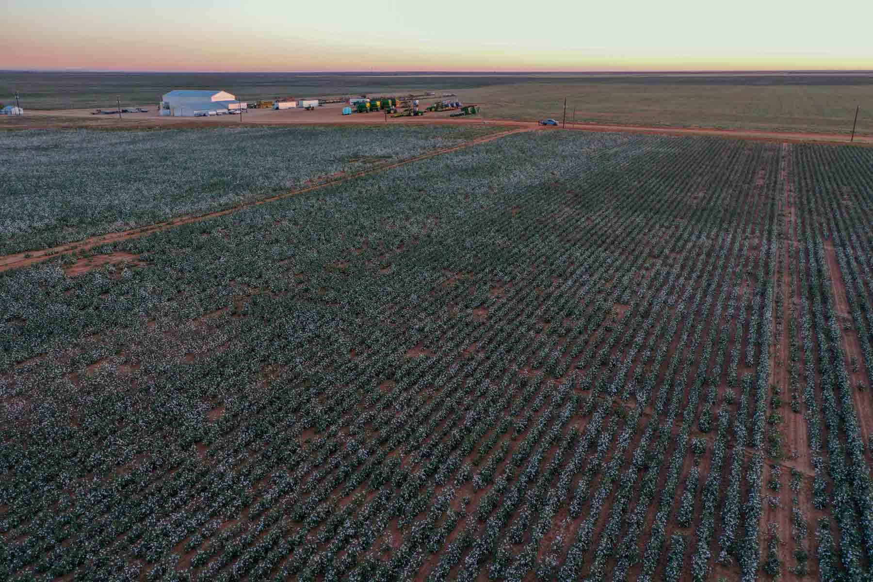 Warren Farms property picture 59 of 83