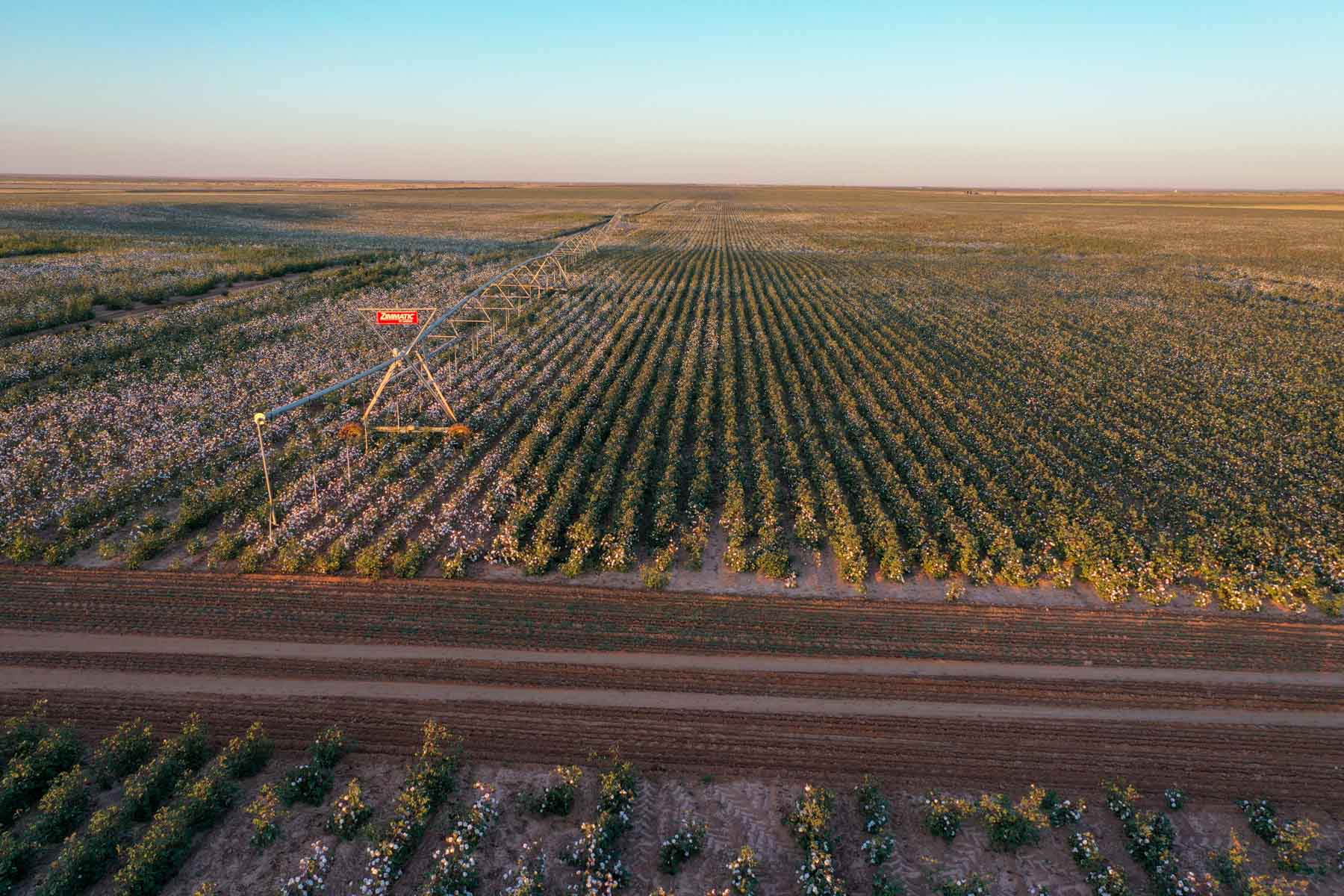 Warren Farms property picture 65 of 83