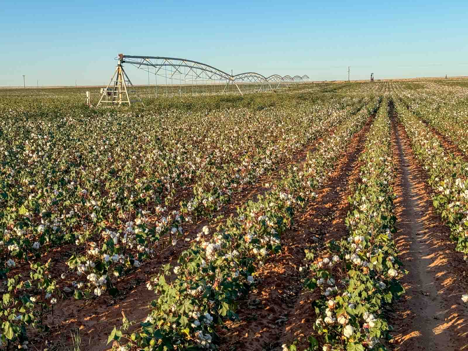 Warren Farms property picture 81 of 83