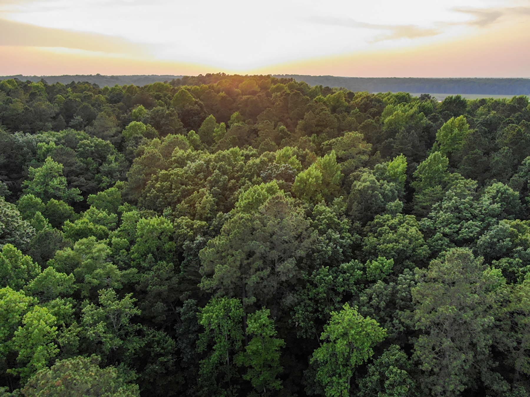 Preserve Tract property picture 5 of 9