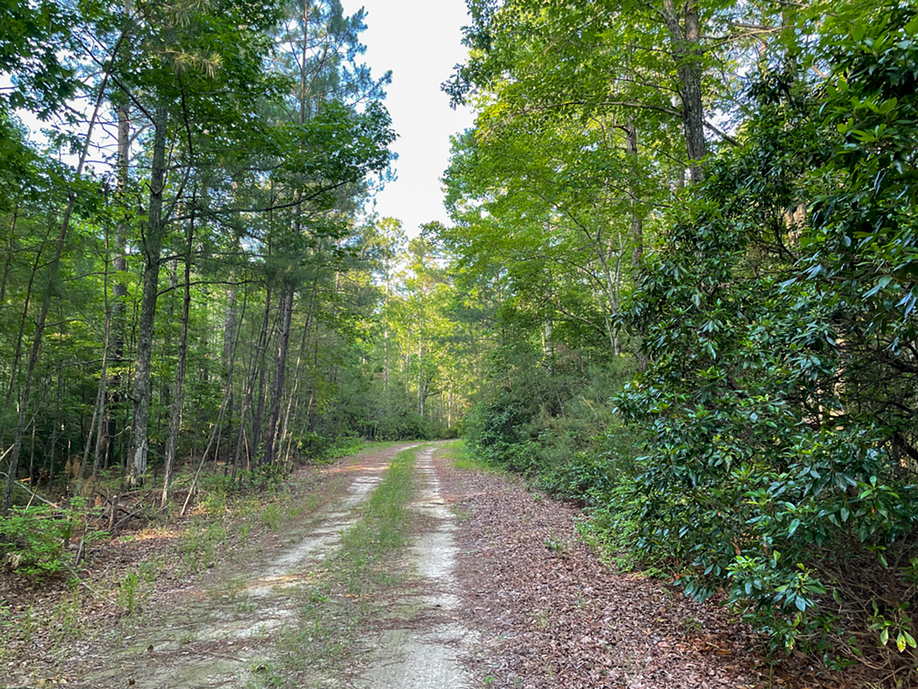 Preserve Tract property picture 7 of 9