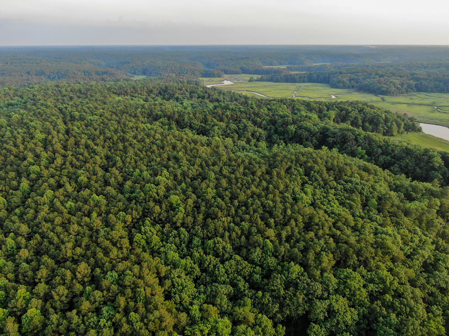 Preserve Tract property picture 9 of 9