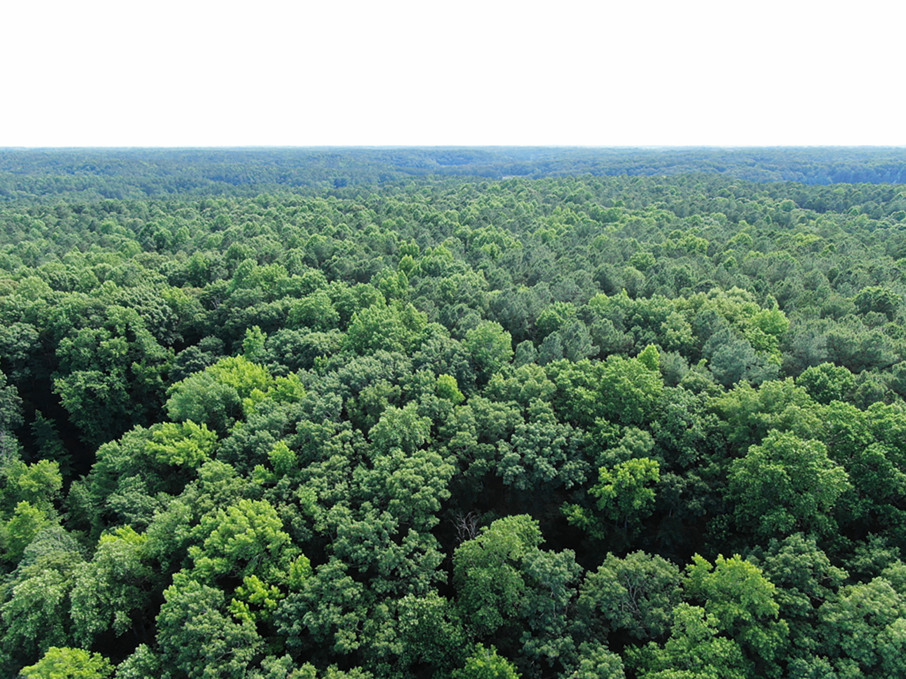 Preserve Tract property picture 2 of 9