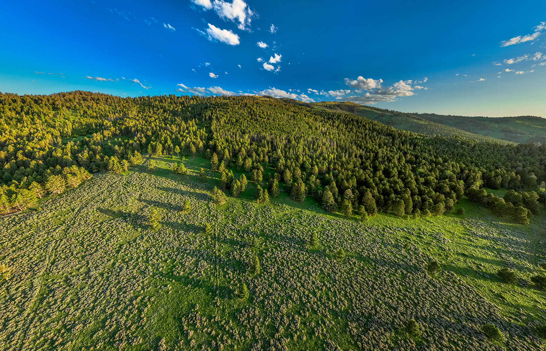 Carter Creek Ranch property picture 51 of 53