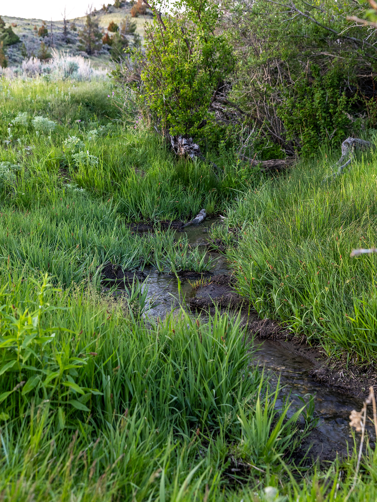 Carter Creek Ranch property picture 26 of 53