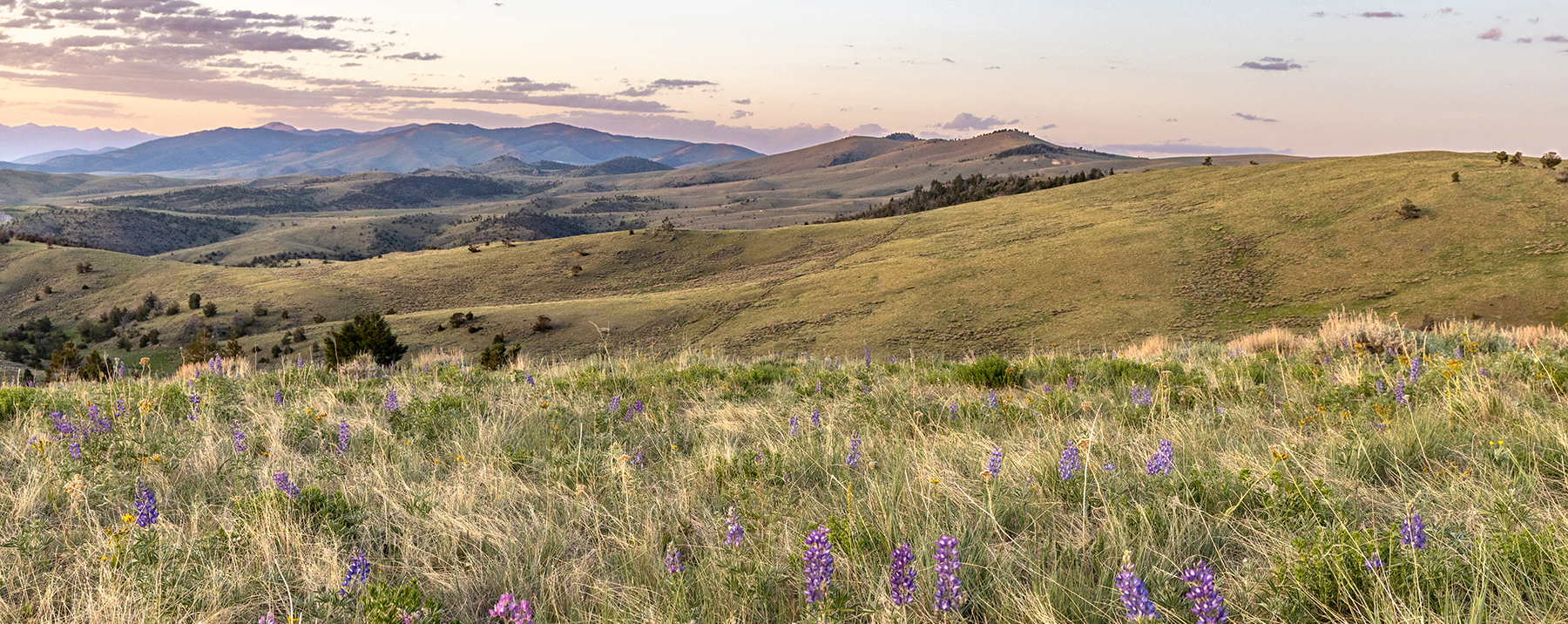 Carter Creek Ranch property picture 1 of 53