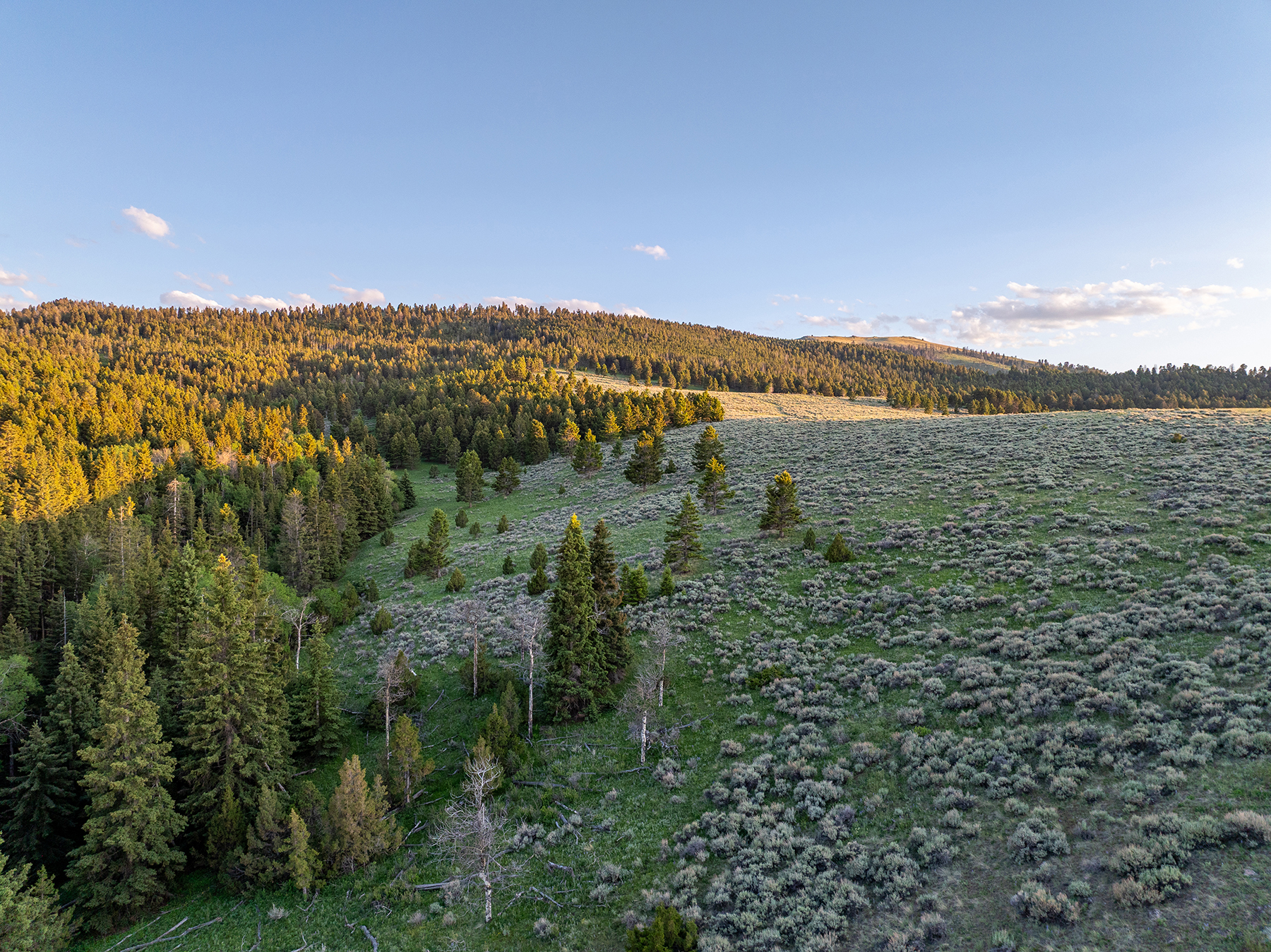 Carter Creek Ranch property picture 38 of 53