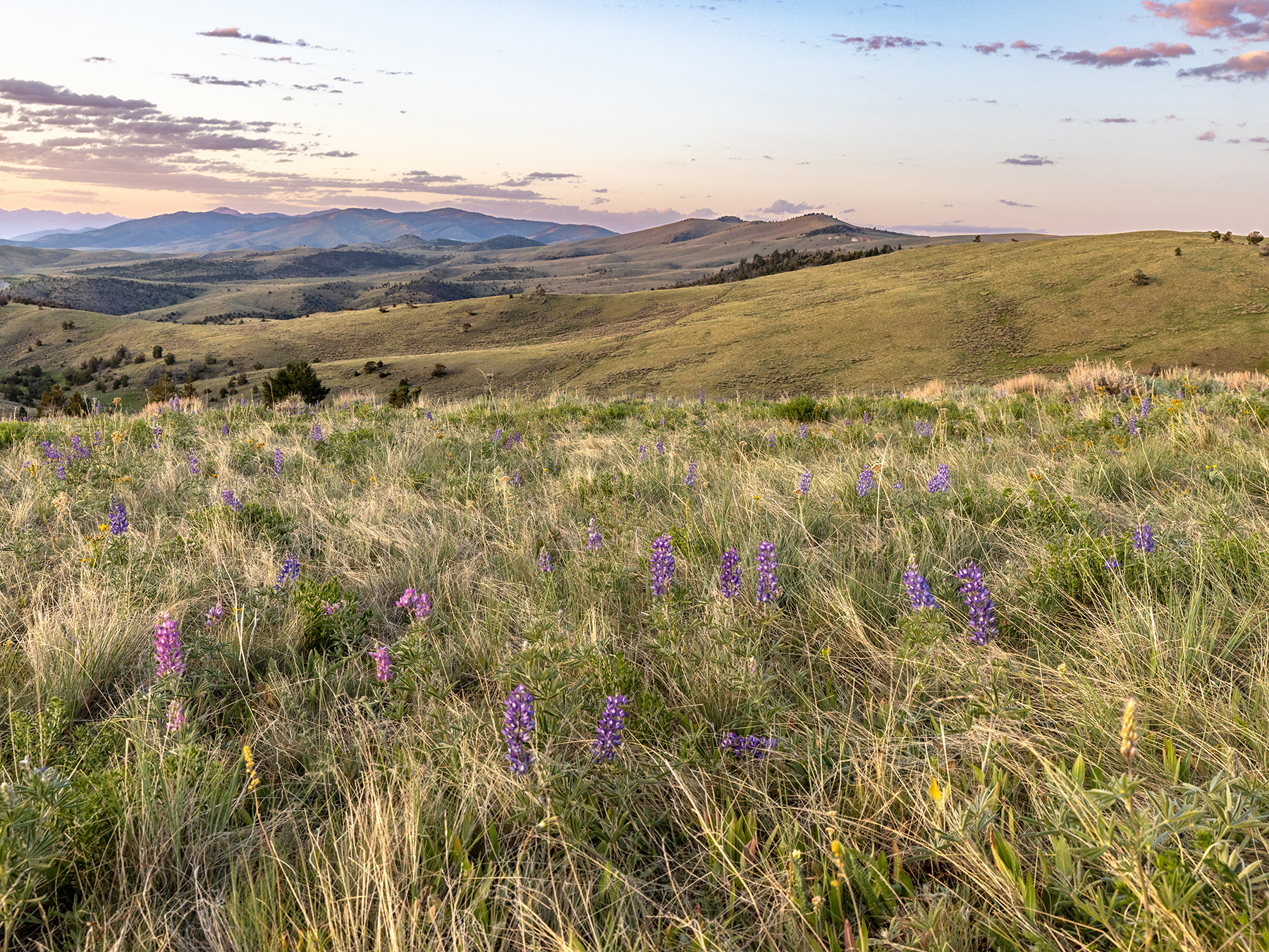 Carter Creek Ranch property picture 7 of 53