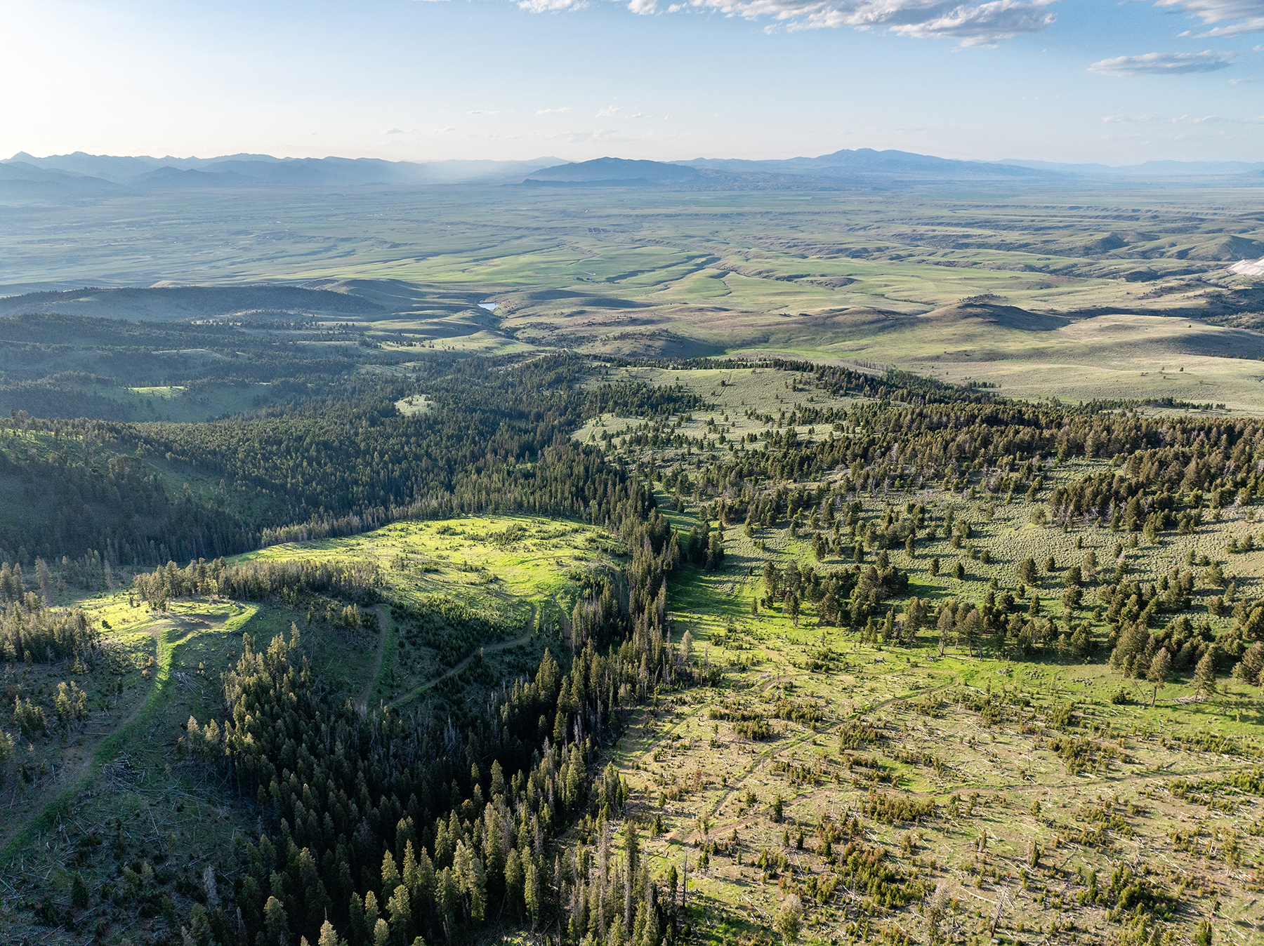 Carter Creek Ranch property picture 4 of 53