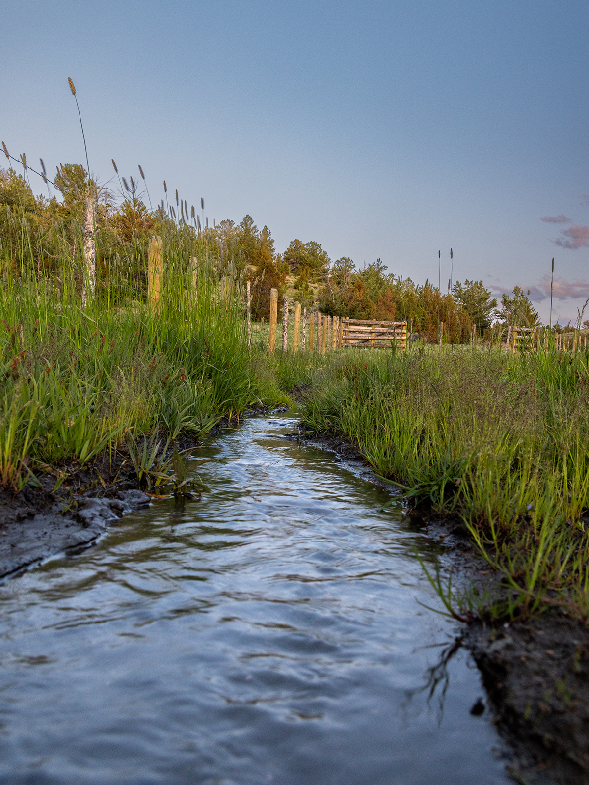 Carter Creek Ranch property picture 5 of 53