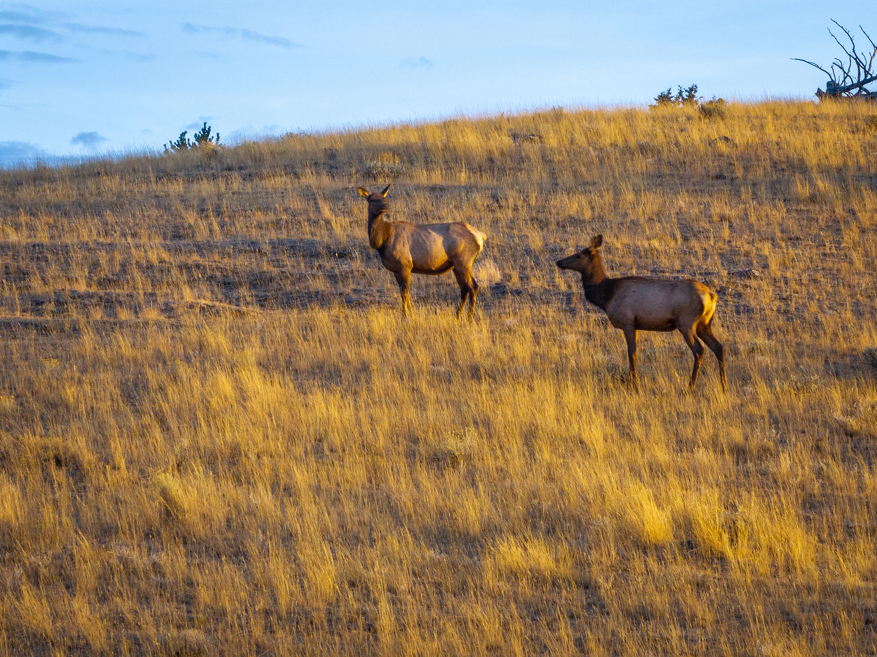 Carter Creek Ranch property picture 30 of 53