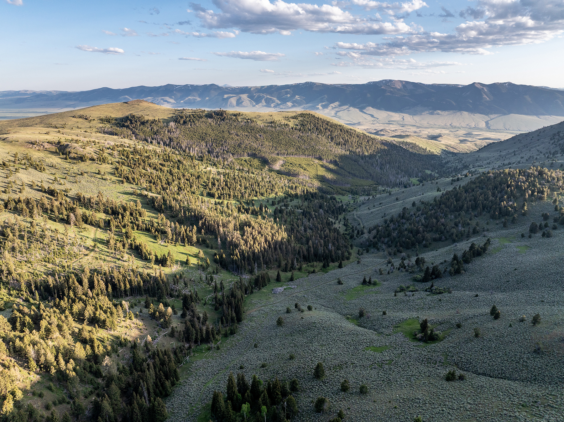 Carter Creek Ranch property picture 34 of 53