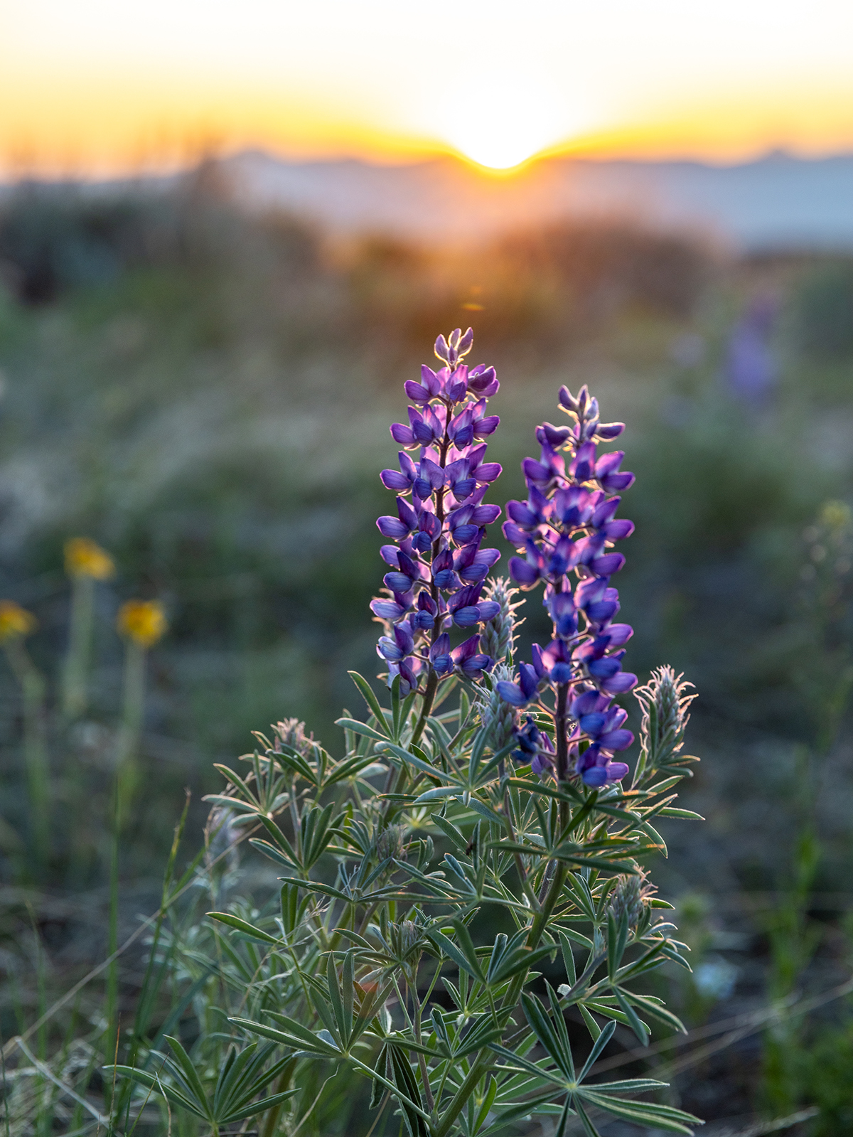 Carter Creek Ranch property picture 7 of 53