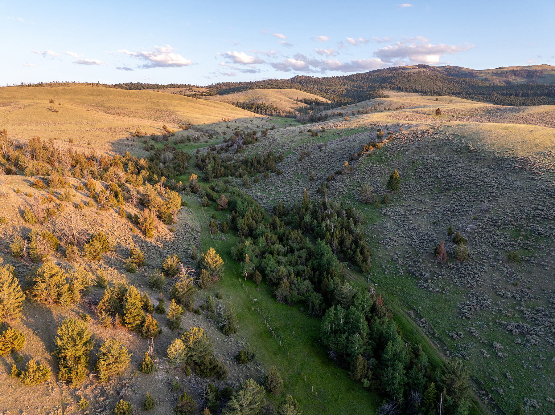 Carter Creek Ranch property picture 13 of 53