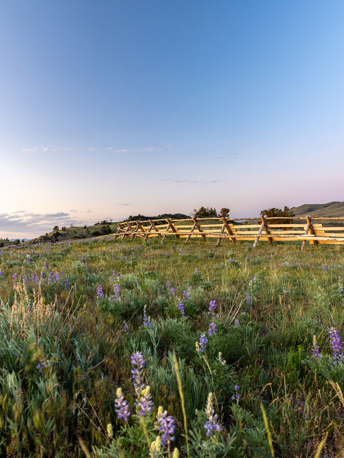 Carter Creek Ranch property picture 6 of 53