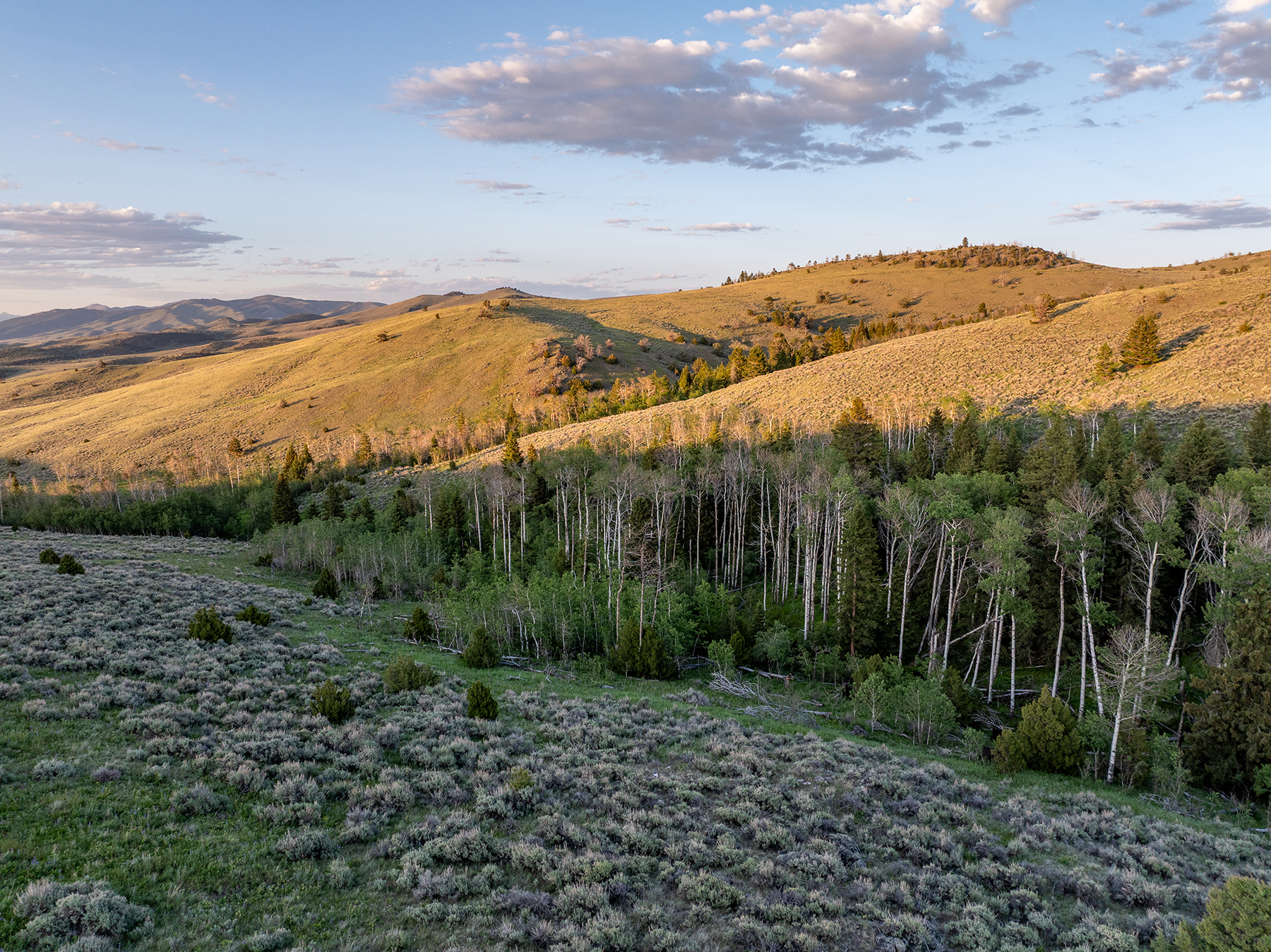 Carter Creek Ranch property picture 11 of 53
