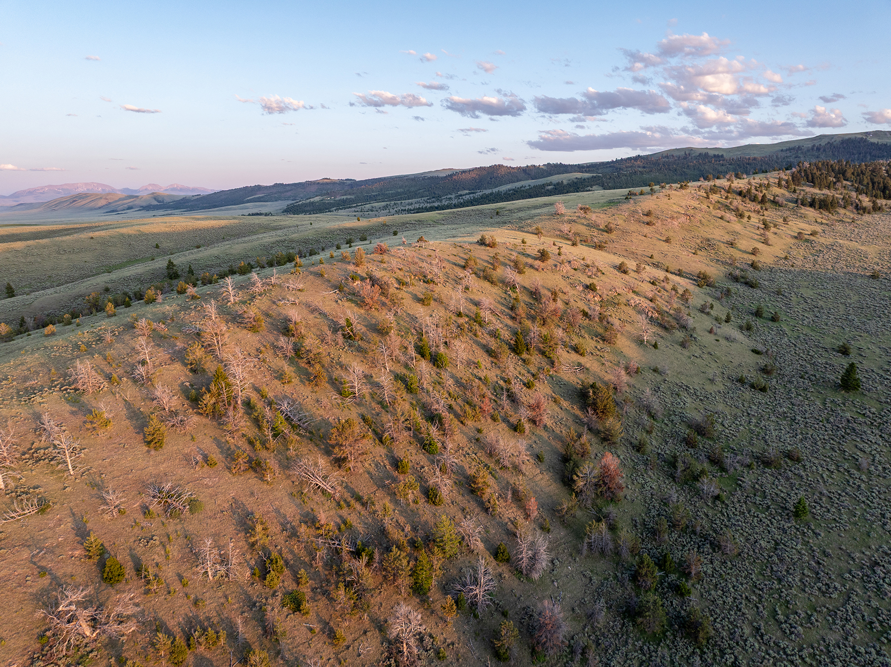 Carter Creek Ranch property picture 33 of 53