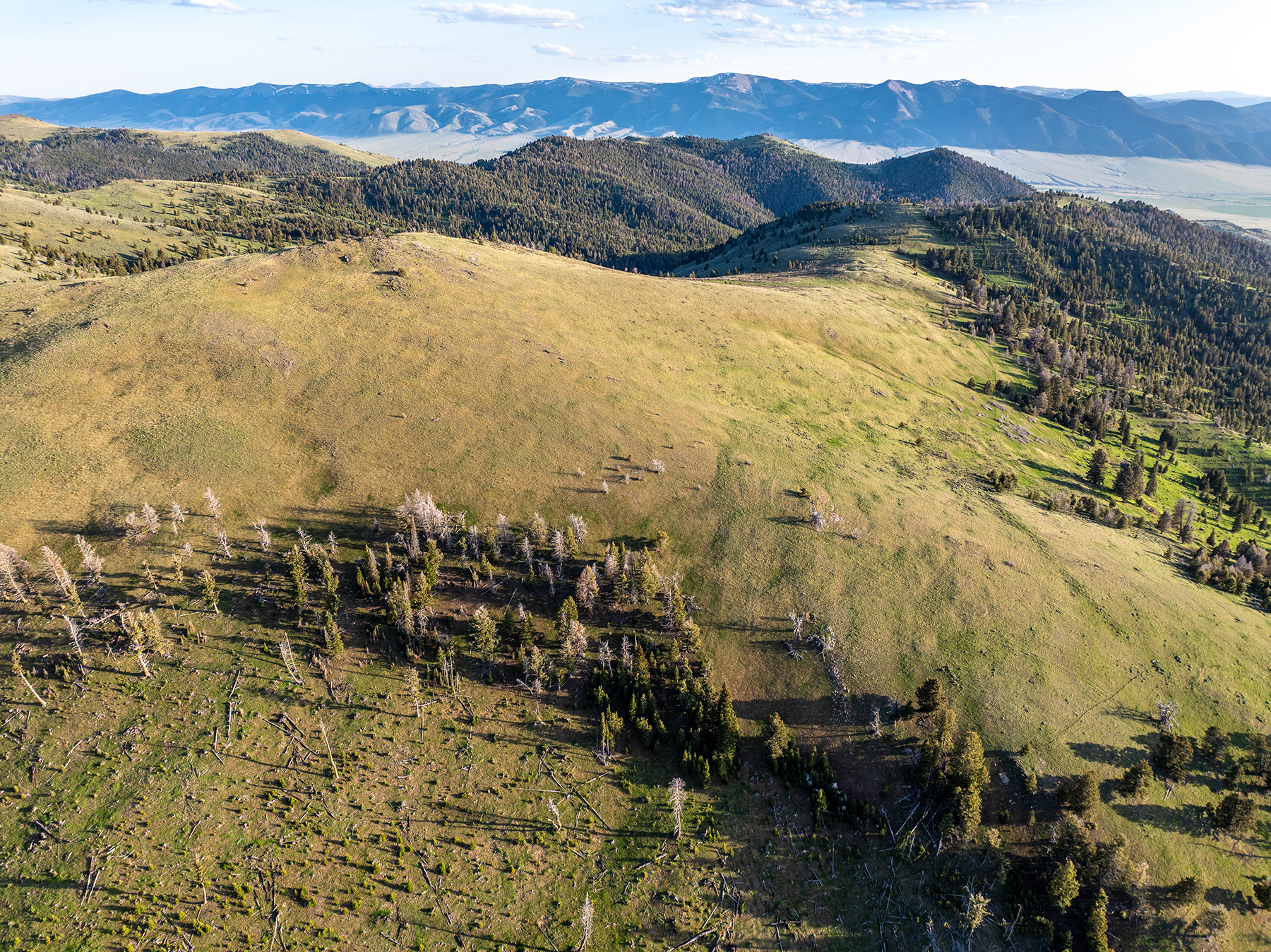 Carter Creek Ranch property picture 32 of 53