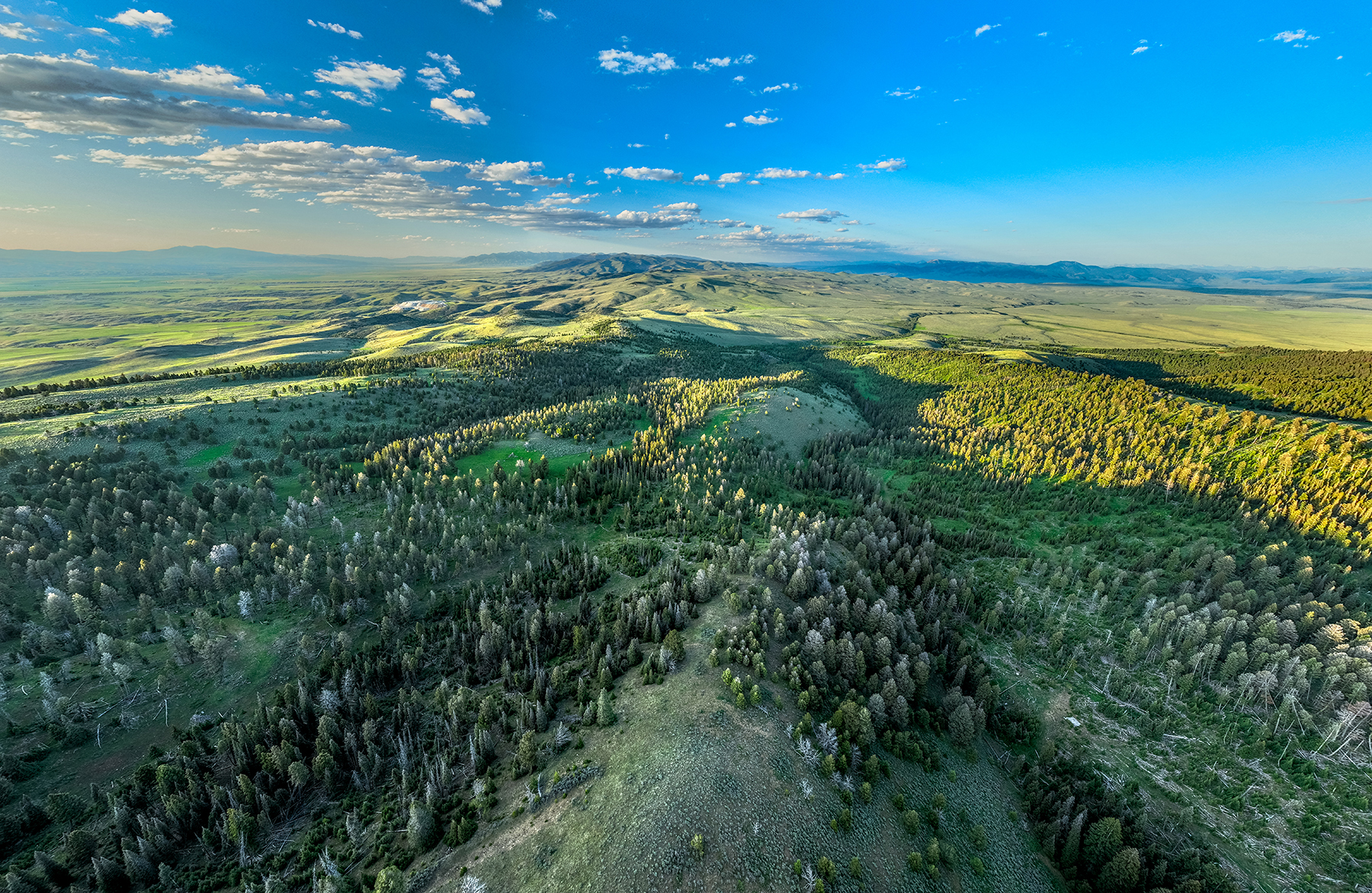 Carter Creek Ranch property picture 47 of 53