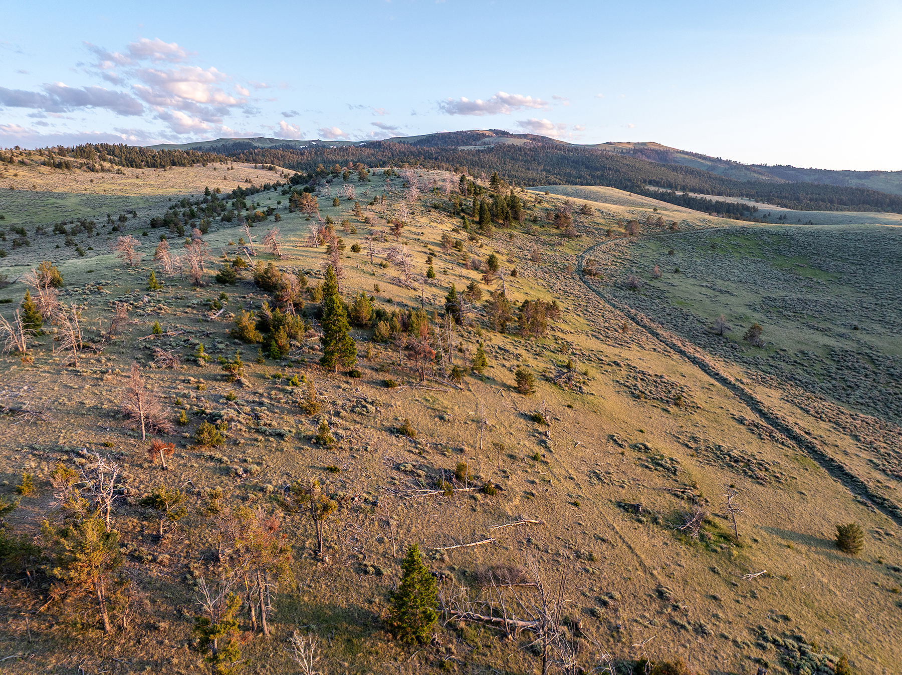 Carter Creek Ranch property picture 44 of 53