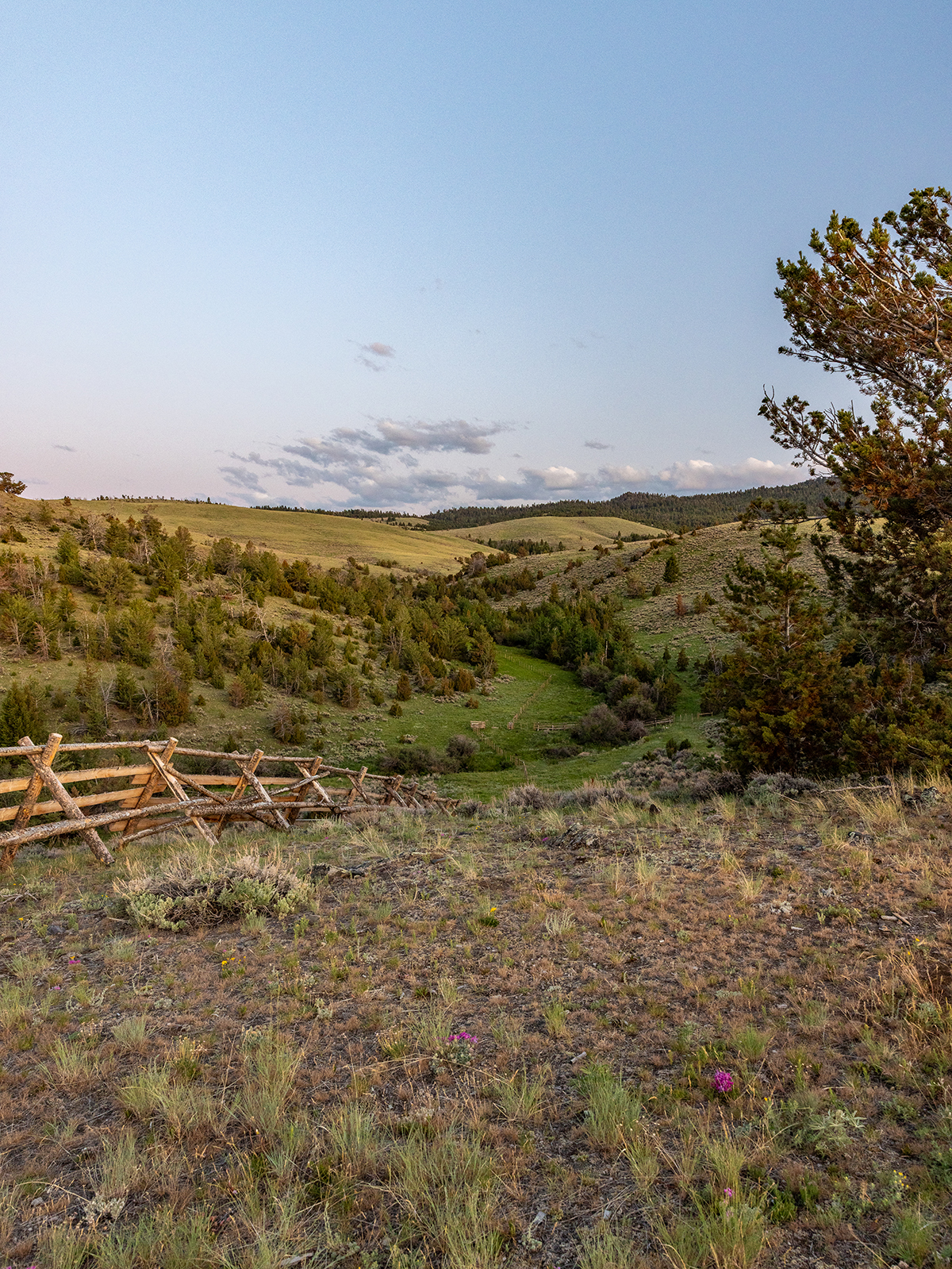 Carter Creek Ranch property picture 2 of 53