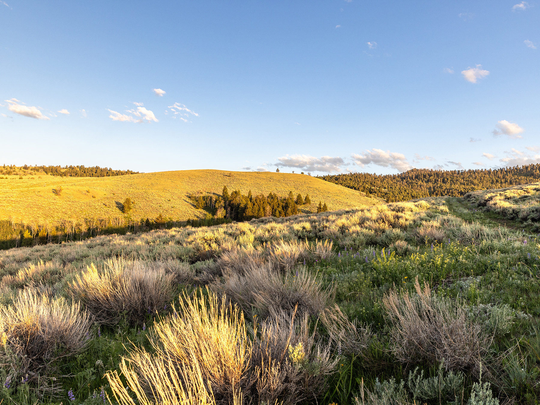 Carter Creek Ranch property picture 31 of 53
